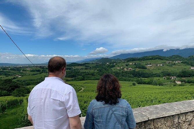 Premium Private Prosecco Hills Tour - 2 Wineries. Private tour. - Why Choose This Tour?