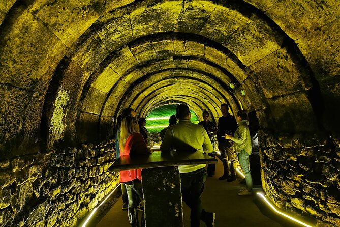 Premium Ribera del Duero tour with winemaker-guide - Enjoying a Regional Lunch in a Historic Winery