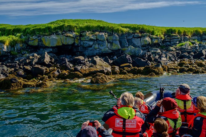 Premium Small-Group Puffin & Bird Watching tour from Reykjavík - The Quality of Equipment and Safety Measures