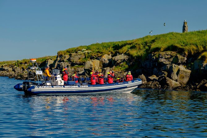 Premium Small-Group Puffin & Bird Watching tour from Reykjavík - Who Will Appreciate This Tour the Most?