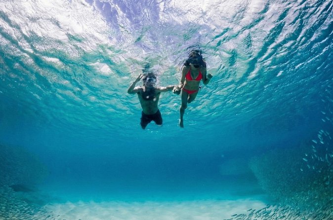 Premium Snorkel Catamaran Cruise in Los Cabos - Practical Details: Meeting Point, Group Size, and Additional Costs