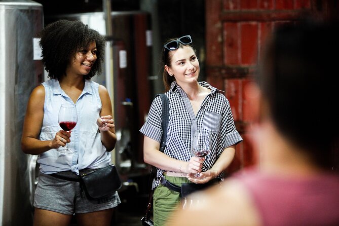 PREMIUM TASTING and TAPAS with GUIDED TOUR - Authentic Wine and Tapas Experience at Quinta do Beijo for $46.44