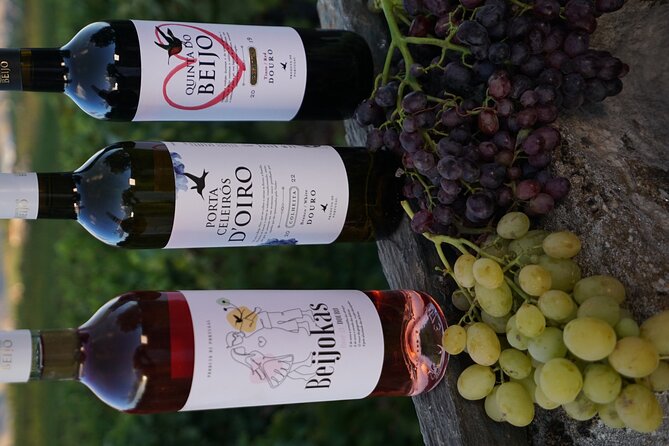 PREMIUM TASTING and TAPAS with GUIDED TOUR - Practical Details: Meeting Location and Schedule