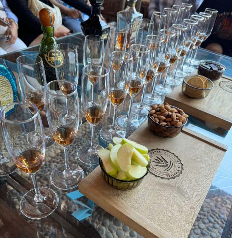 Premium Tequila Route with a professional tasting - Practicalities: Logistics, Accessibility, and Tips