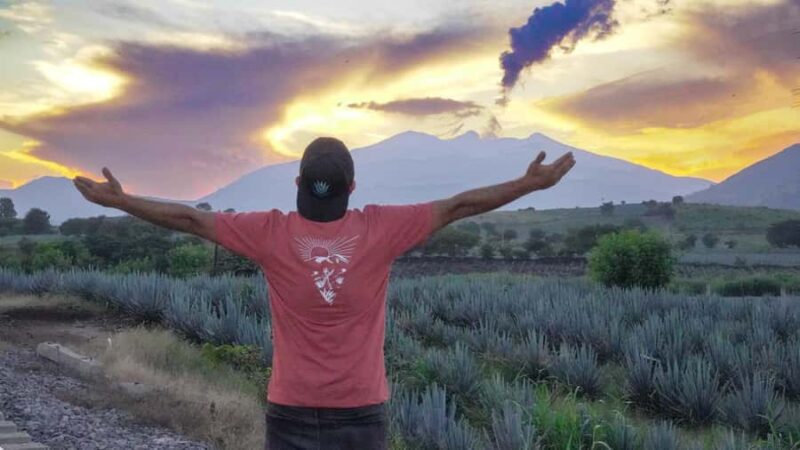 Premium Tequila Route with a professional tasting - Guides, Atmosphere, and Overall Experience