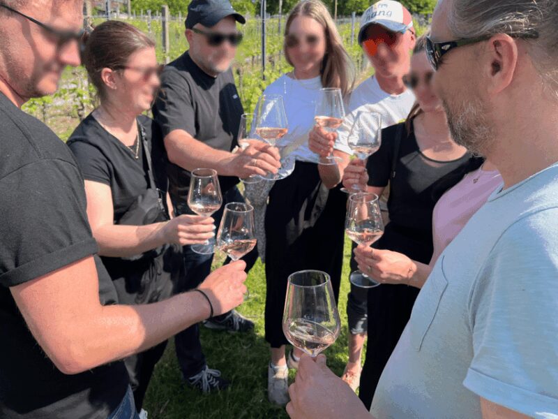 Premium wine hike Stuttgart with games and winemaker's snack - Stuttgarts Scenic Wine Hike: A Perfect Blend of Nature, Wine, and Fun