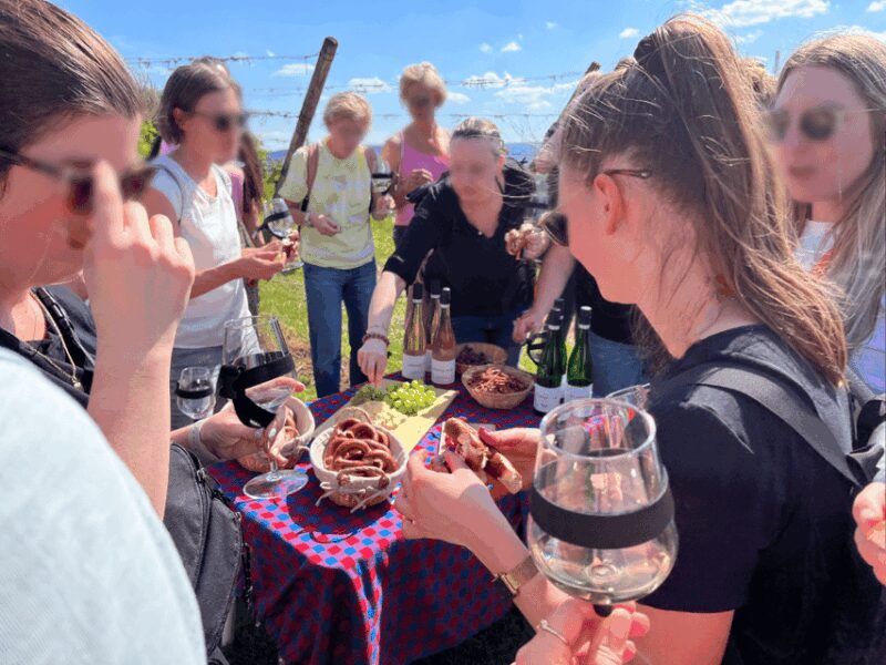 Premium wine hike Stuttgart with games and winemaker's snack - Explore Stuttgart’s Most Beautiful Vineyard Views