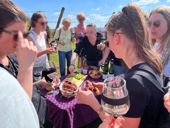 Premium wine hike Stuttgart with games and winemaker's snack - Entertaining Games for All Ages and Types