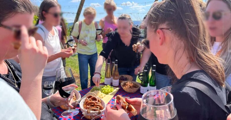 Premium wine hike Stuttgart with games and winemaker's snack - Weather Preparedness and Tour Flexibility
