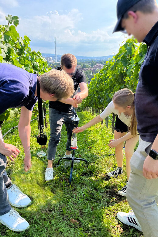 Premium wine hike Stuttgart with games and winemaker's snack - Convenient Transportation and Meeting Points