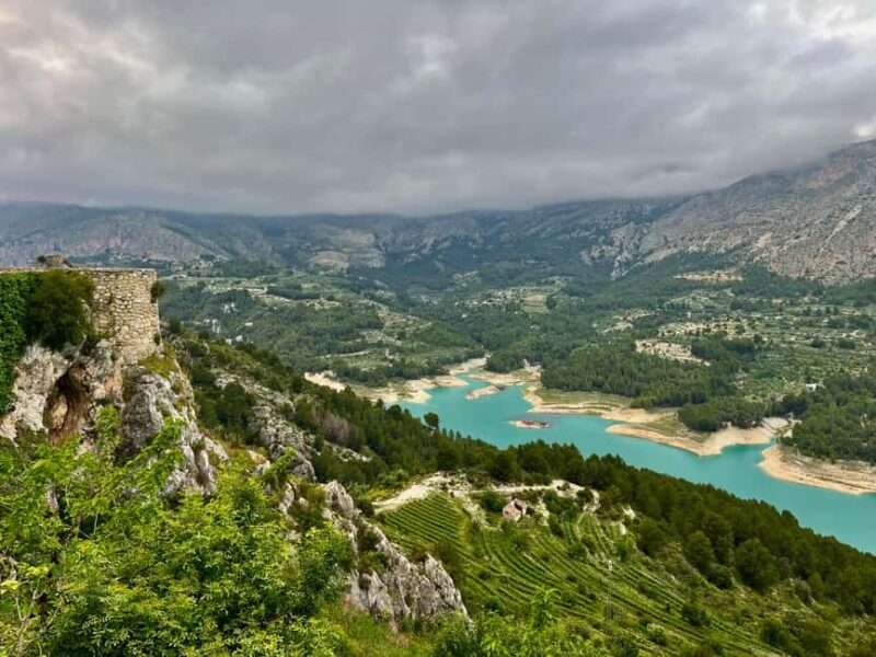Premium Winery with 7 Tastings & Castle from Alicante and Benidorm - Practical Tips for Participants