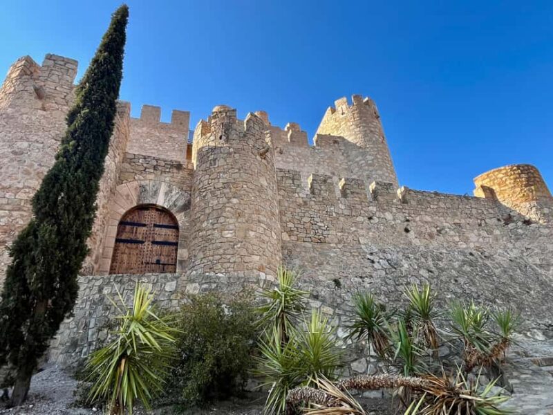 Premium Winery with 7 Tastings & Castle from Alicante and Benidorm - Who Will Enjoy This Tour Most