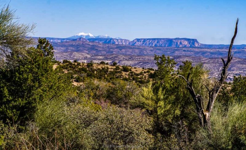 Prescott: Copper Canyon Hummer Tour - Key Points