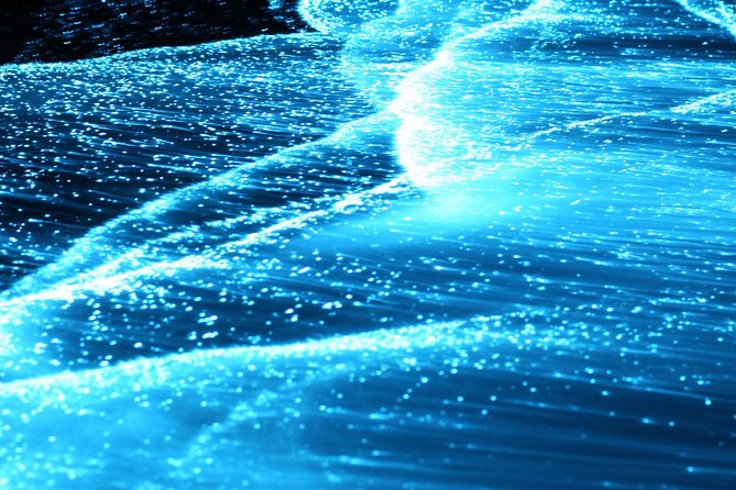 Preserving Baby Sea Turtles And Filling You With Energy In Bioluminescent Lights - The Role of Guides and Personal Care