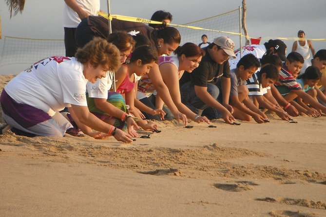 Preserving Baby Sea Turtles And Filling You With Energy In Bioluminescent Lights - Who Should Consider This Tour?