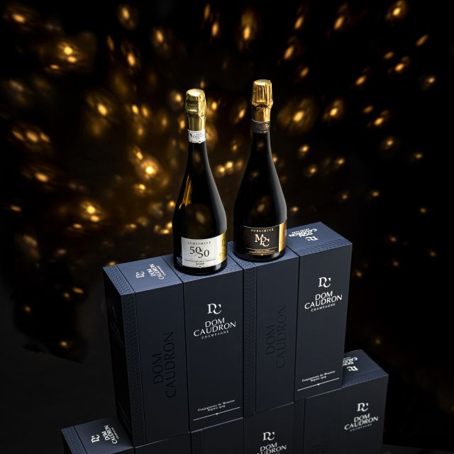 Prestige Champagne Experience - Passy-Grigny - Comparing the Price to the Experience Offered