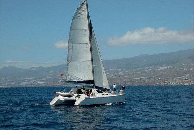 Prestigious cruiser private charter - Discover the Luxury Private Boat Experience in Tenerife