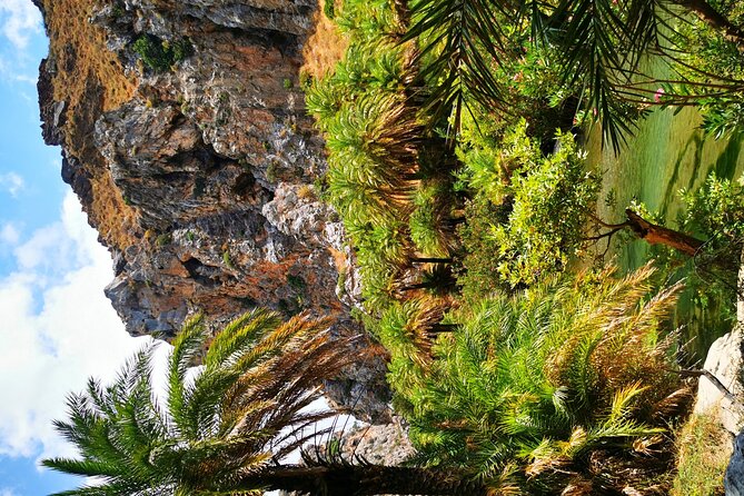 Preveli Beach & Palm Forest :Full-Day Tour with Lunch Box - From Heraklion to the Scenic Start Point