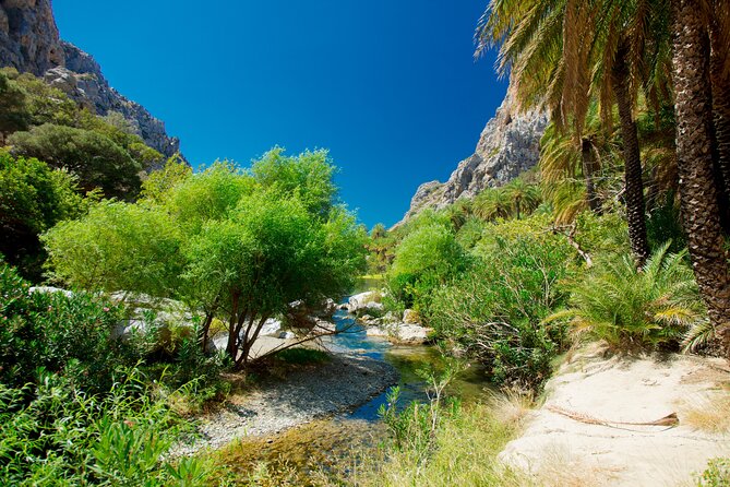 Preveli Beach & Palm Forest :Full-Day Tour with Lunch Box - The Scenic Walk to the Beach and Palm Forest