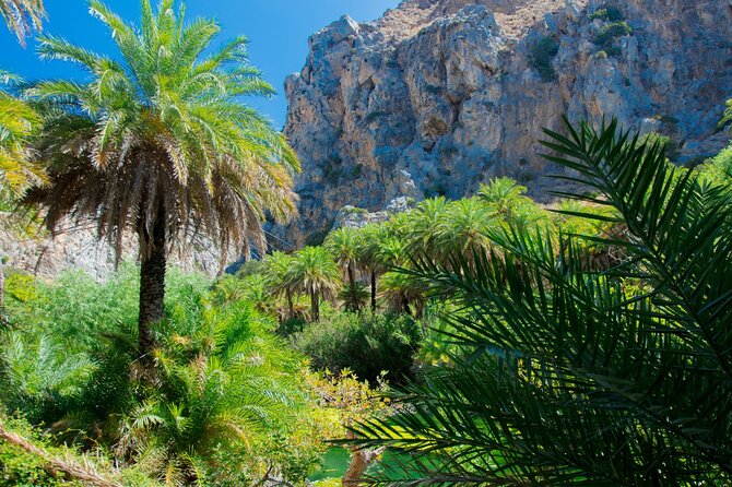Preveli Palm Beach Boat Cruise & Rethymnon Town from Heraklion - Relaxing at Preveli Palm Beach