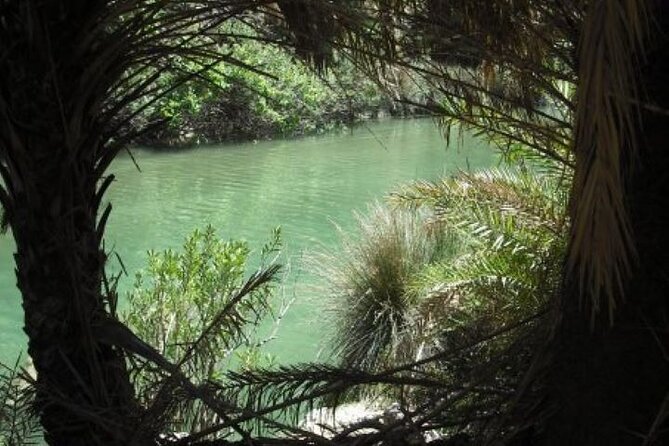 Preveli palm Beach & Damnoni Excursion - Scenic Journey to Crete’s Unique Beaches