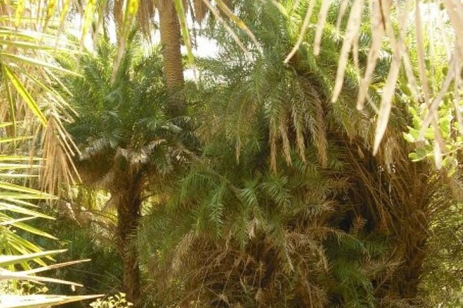 Preveli palm Beach & Damnoni Excursion - Preveli Beach & Damnoni Excursion: Is it Worth It?