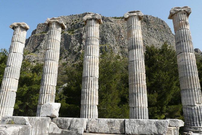 Priene Miletos Didyma (PMD) Tour From Kusadasi Port / Hotels - The Experience of a Small Group Tour in Kusadasi
