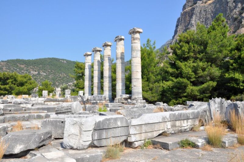 Priene Miletus Didyma Tour - A Well-Organized Tour with Engaged Guides