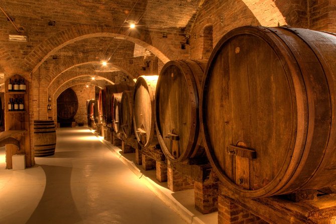 Primitivo and Negroamaro wine tour: a visit to two wineries and typical lunch. From Lecce - Authentic Salento Wine Experience with Two Wineries and Regional Lunch