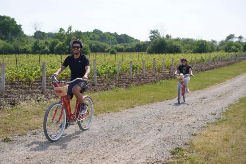 Prince Edward County: Guided Winery Bike Tour with Tasting - The Sum Up: A Balanced Blend of Wine, Scenery, and Activity