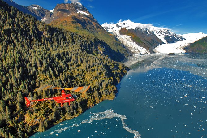 Prince William Sound Tour with Glacier Landing from Girdwood - What to Expect During the Tour’s Stops