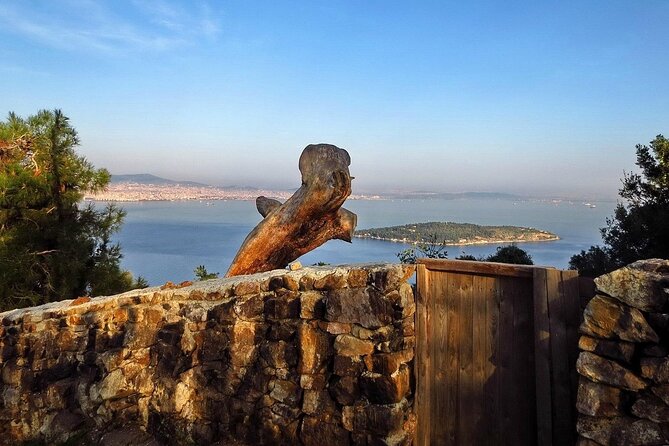 Princes Island Full Day Tour - The Guide Experience and Guest Feedback