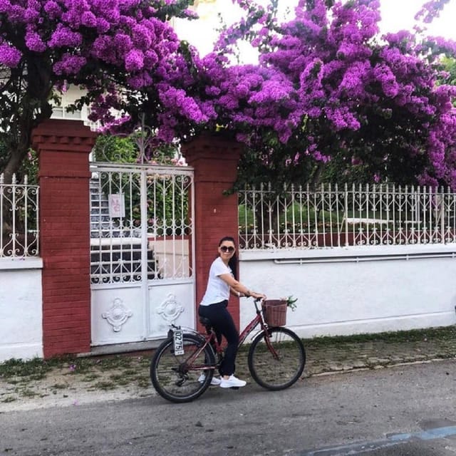 Prince's Island Group Tour - Returning to Istanbul and Sunset Views