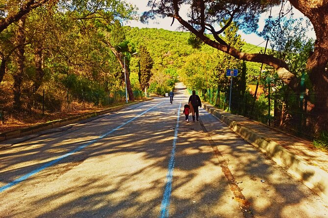 Princes' Islands E-bike Tour - Discovering Büyükada’s Lively Center and Local Food Scene