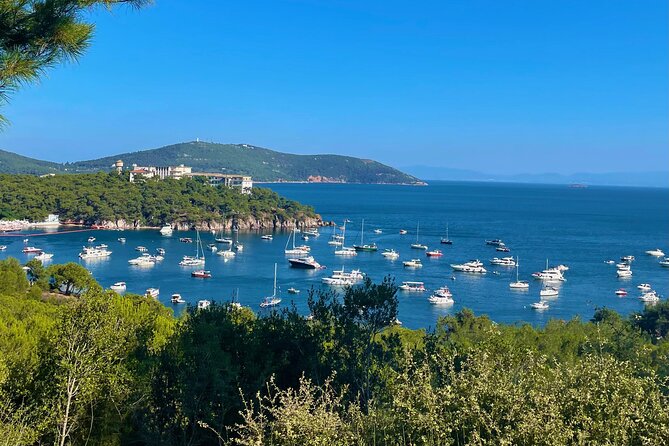 Princes' Islands E-bike Tour - The Guide’s Role and Personal Touch