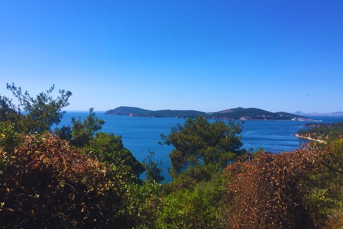 Princes' Islands E-bike Tour - Food, Drinks, and Optional Extras