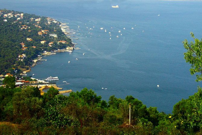 Princes' Islands Tour from Istanbul - Key Points