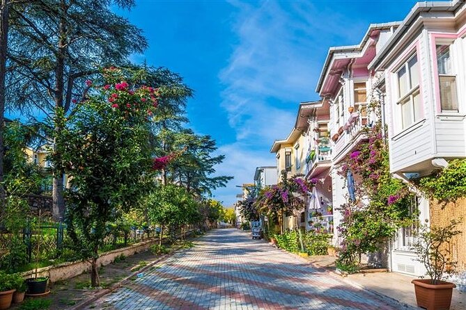 Princess Island Tour Full Day with Lunch - Explore the Princes Islands with a Full-Day Tour from Istanbul