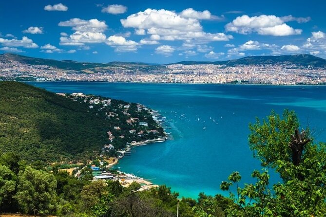 Princess Island Tour with Lunch & Ferry Ride - Exploring Büyükada on a Horse-Drawn Carriage