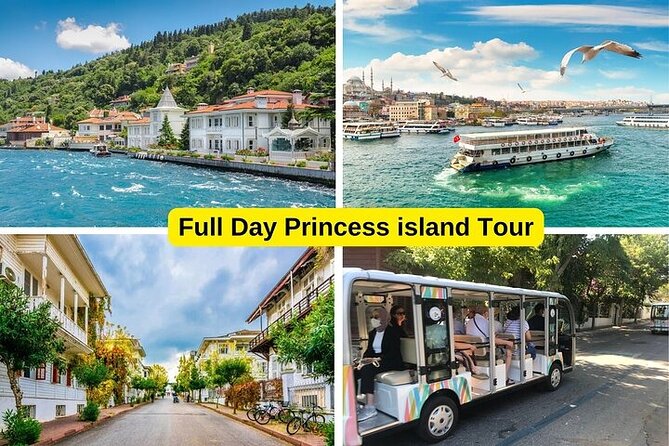Princess Islands Daily Tour from Istanbul - Key Points