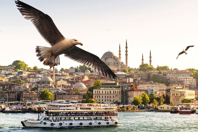 Princess Islands Tour With Lunch and Guide - Return Journey and Shopping Stop in Istanbul