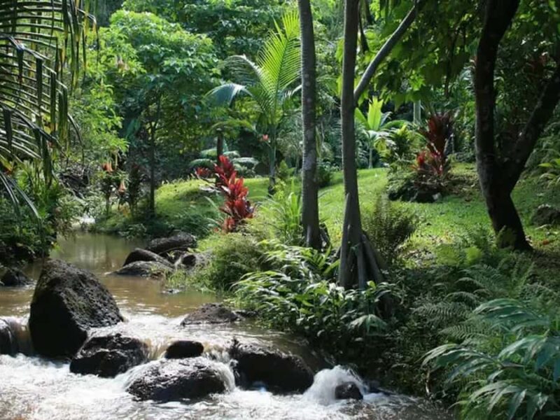 Princeville: Guided Botanical Gardens and Chocolate Tour - Discovering Kauai’s Rare and Exotic Plants