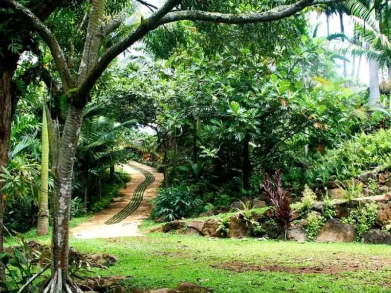 Princeville: Guided Botanical Gardens and Chocolate Tour - Tasting Fresh Seasonal Fruits and Homemade Honey