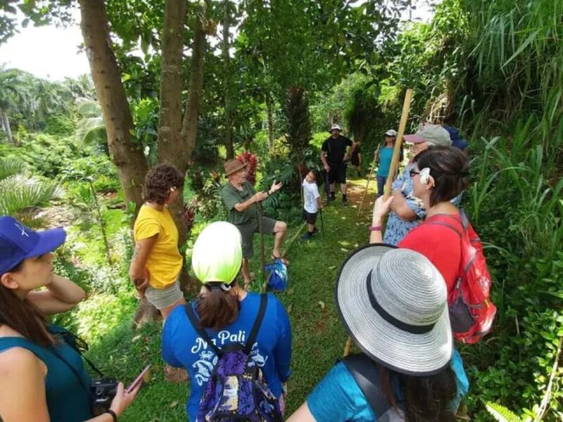 Princeville: Guided Botanical Gardens and Chocolate Tour - The Guide: Knowledgeable and Friendly