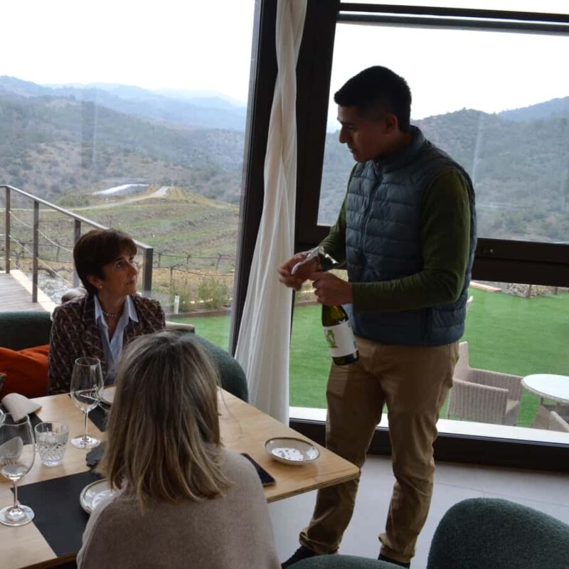 Priorat: Natural Wine Tour in Gratallops - Sampling Wines That Speak of Landscape and Love