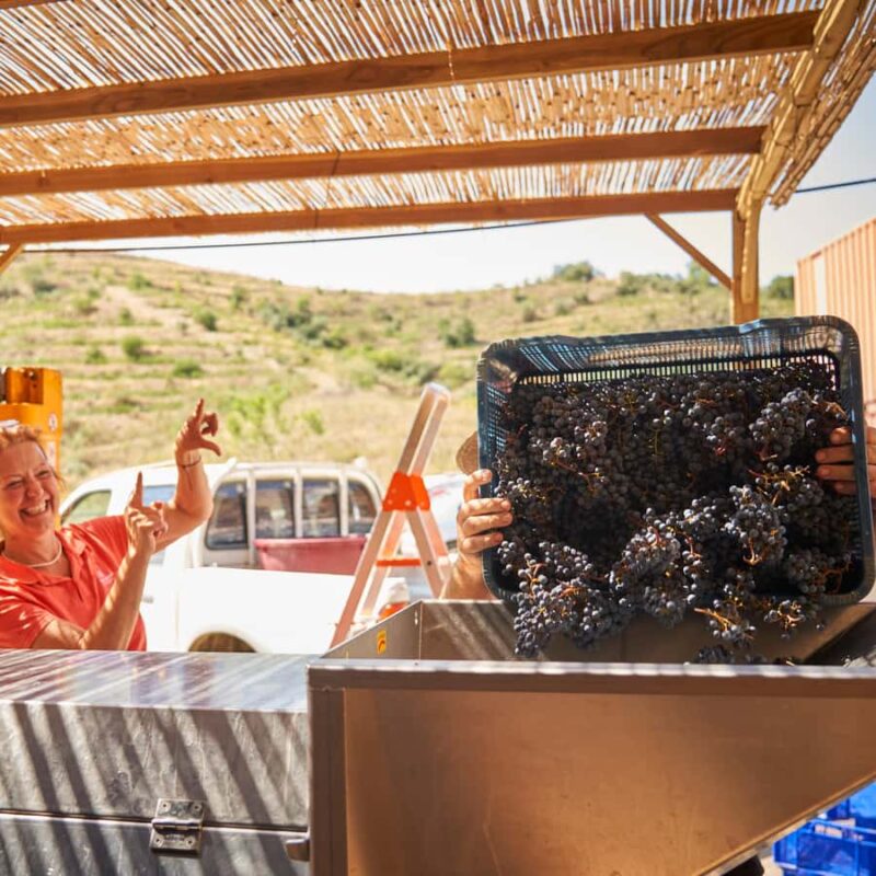 Priorat: Natural Wine Tour in Gratallops - Learn How Regenerative Agriculture Shapes Each Bottle