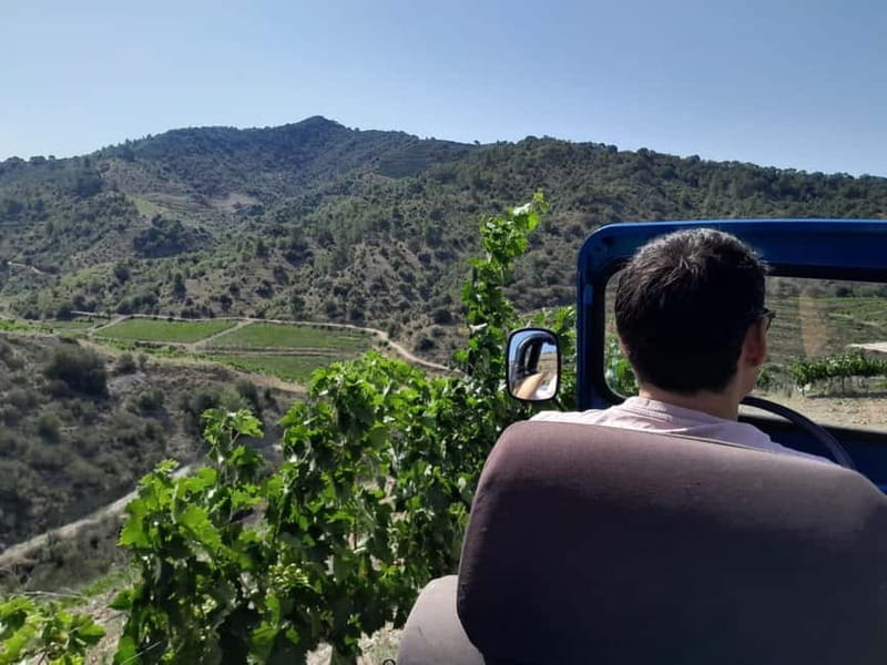 Priorat tour to 3 small wineries and hotel pick-up - Key Points