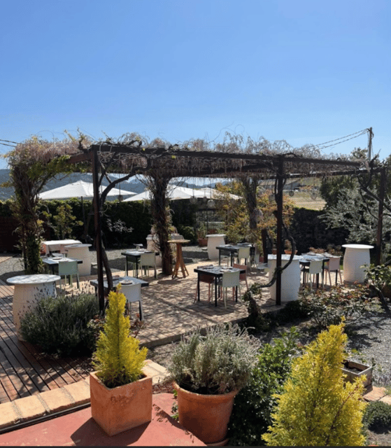 Priorat tour to 3 small wineries and hotel pick-up - Navigating the Scenic Landscapes of Priorat