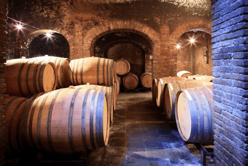 Priorat tour to 3 small wineries and hotel pick-up - Lunch and Wine Pairing at Clos Figueras