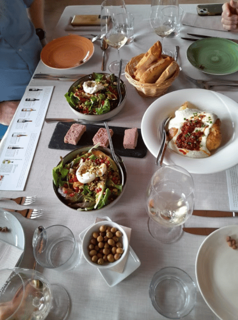 Priorat tour to 3 small wineries and hotel pick-up - The Final Stop at Devinssi Vineyards